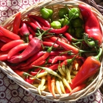 Marché du vendredi